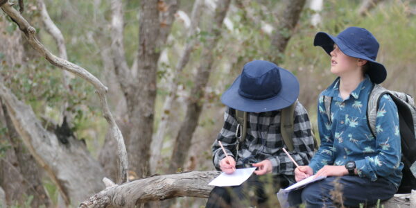 Castlemaine Steiner School returns to Mount Tarrengower for Spring