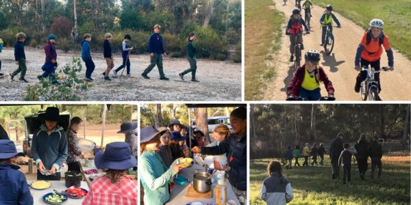 New Camp Mentor Program