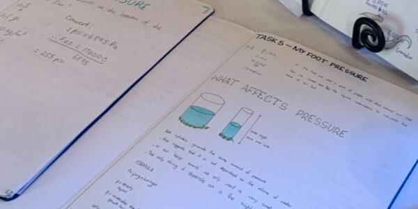 Flexible Grouping in Maths: Supporting and Stretching Every Learner
